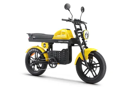 Ape Ryder Gibbon elektrikli bisiklet