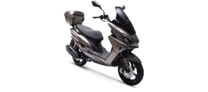 RKS NEWLIGHT PRO resmi